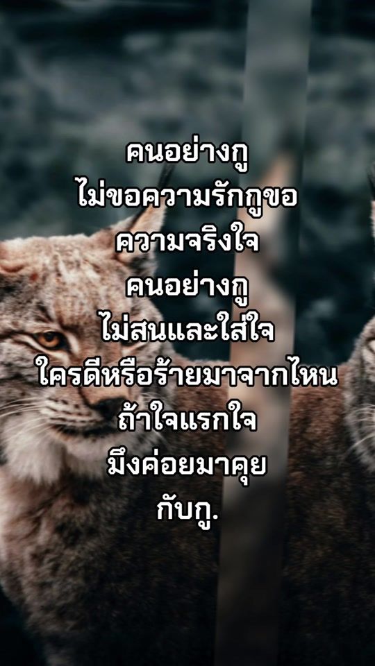 TikTok video thumbnail by user4448116247393