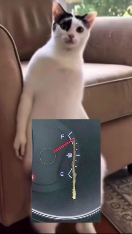 TikTok video thumbnail by krazyaudio