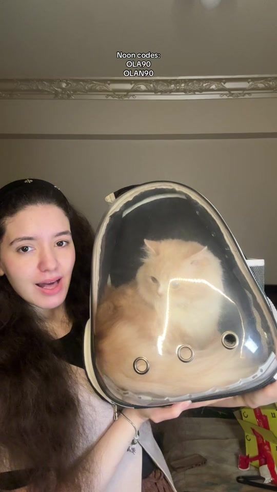 TikTok video thumbnail by olanasser80
