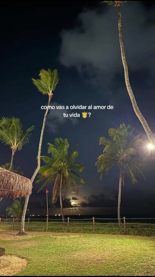 TikTok video thumbnail by adsn.cldr