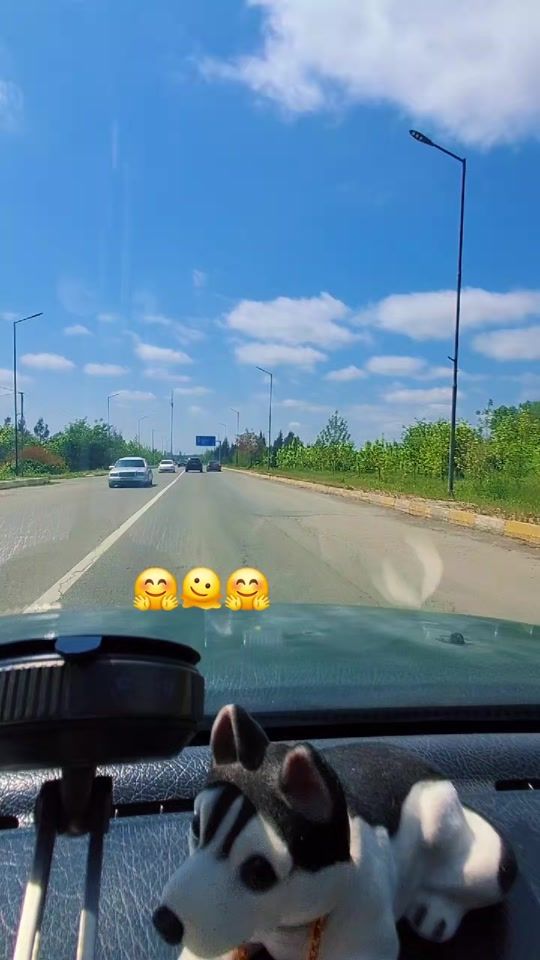 TikTok video thumbnail by dnya6666