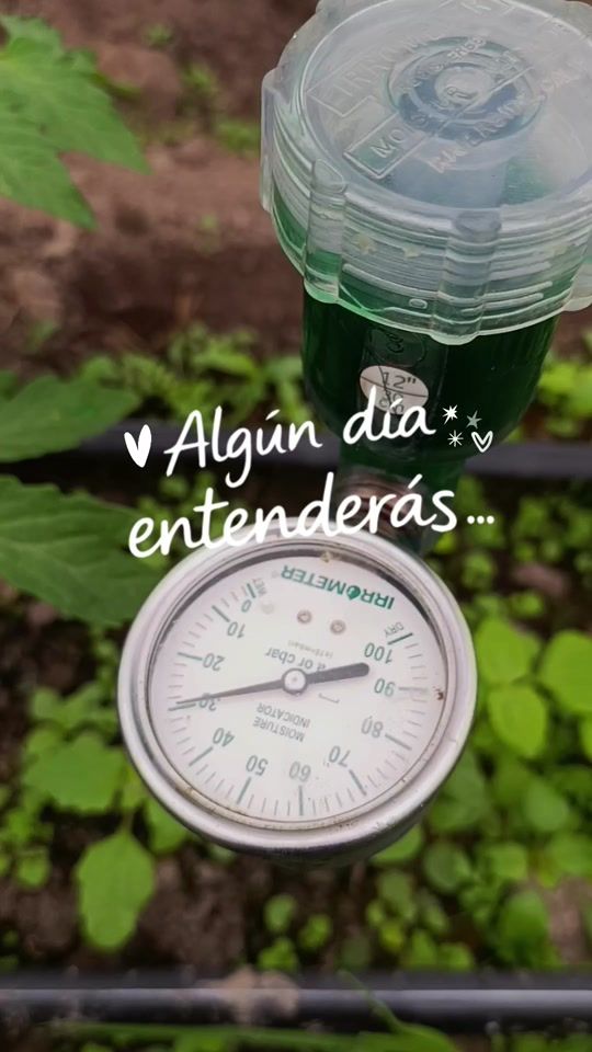 TikTok video thumbnail by emanuelquinteroi