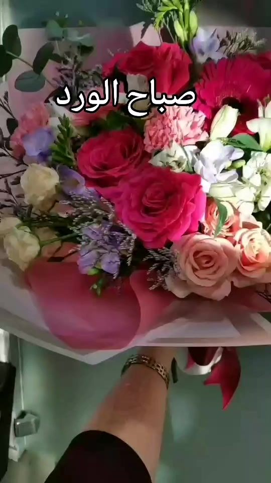 TikTok video thumbnail by najatalami1