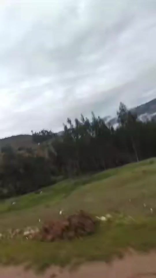 TikTok video thumbnail by wiliam4801
