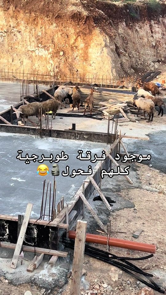 TikTok video thumbnail by mustafa_alawneh1