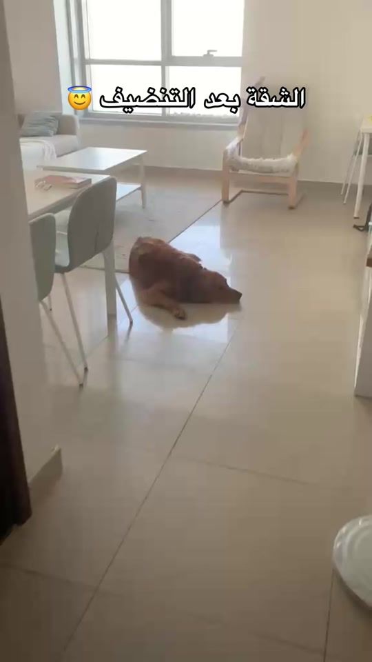 TikTok video thumbnail by mai1111.84