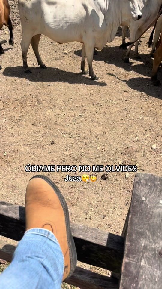 TikTok video thumbnail by e.pimentel29