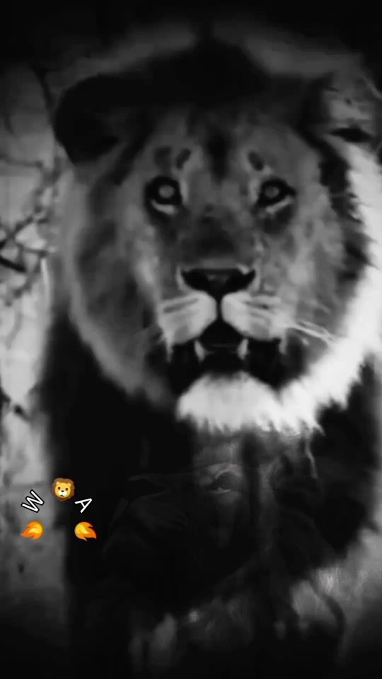 TikTok video thumbnail by waris_shah760