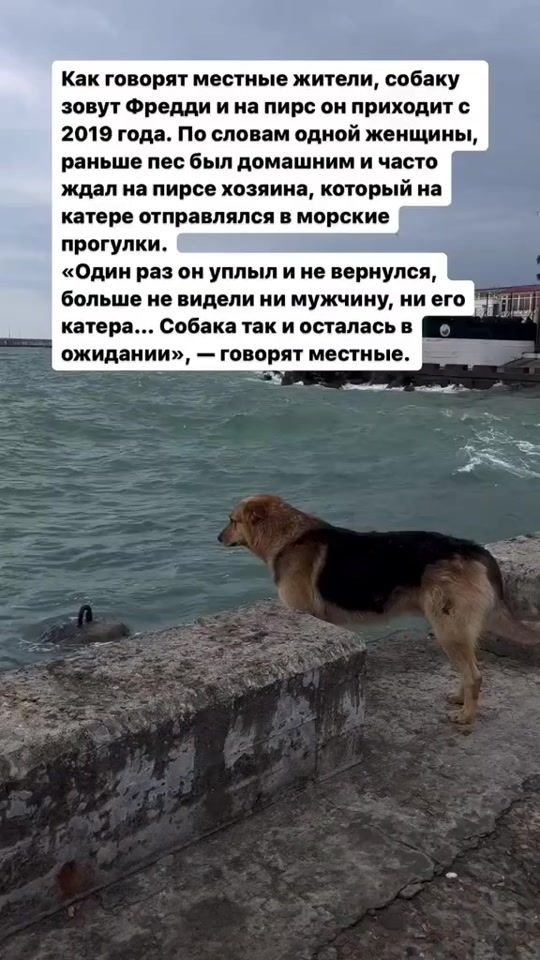 TikTok video thumbnail by _elin34