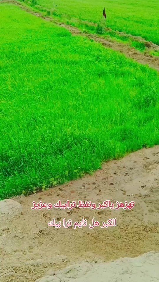 TikTok video thumbnail by abas_k_