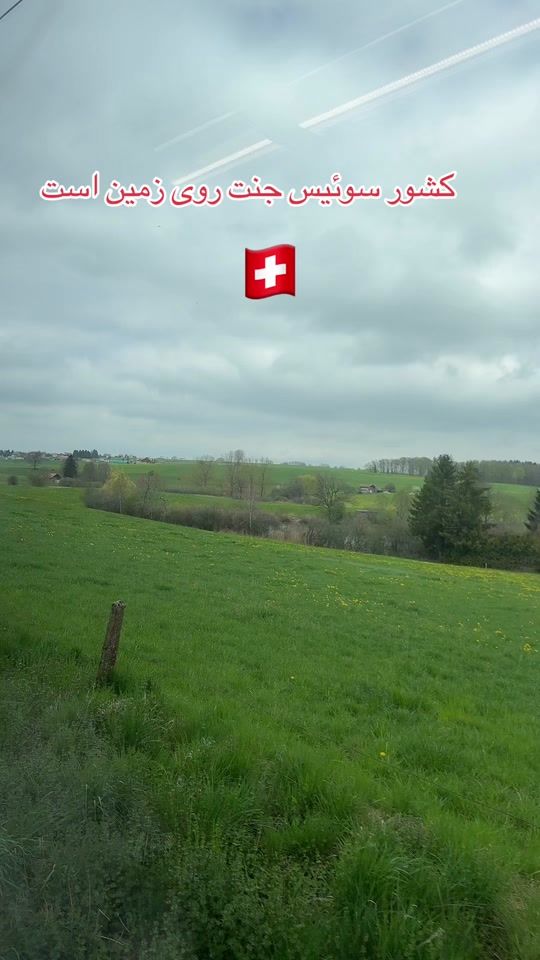 TikTok video thumbnail by user5695800215741
