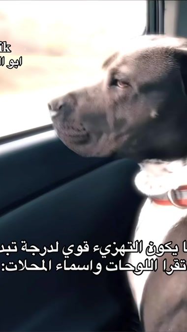 TikTok video thumbnail by sro7o