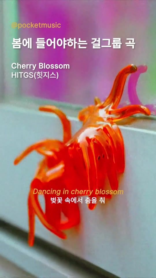 TikTok video thumbnail by pocketmusic.kr