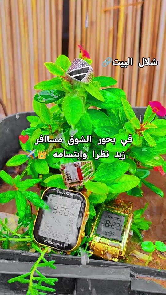 TikTok video thumbnail by relaxcoffee56