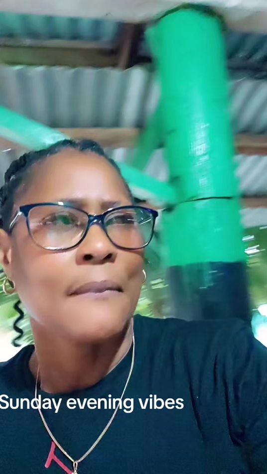 TikTok video thumbnail by suzanbarnett