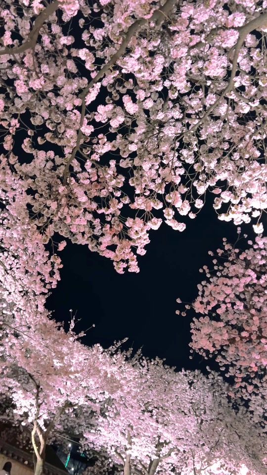 TikTok video thumbnail by colorful_frame_