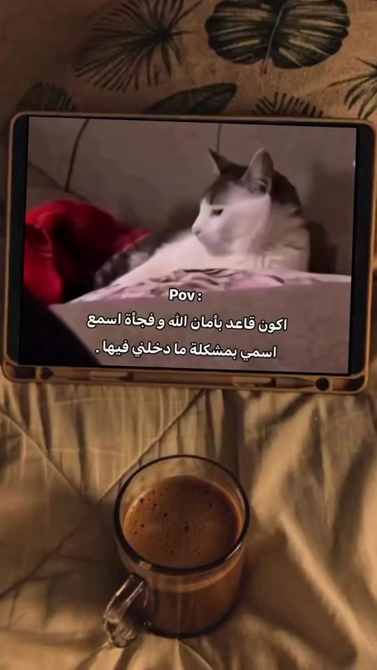 TikTok video thumbnail by bj_63828