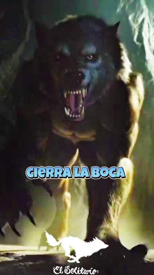 TikTok video thumbnail by atte_oscar_meque