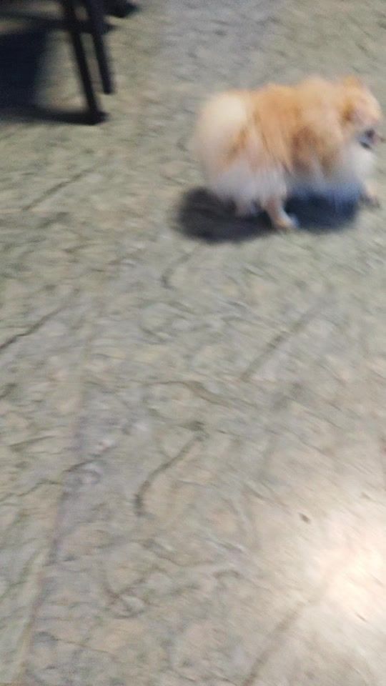 TikTok video thumbnail by lobjana86