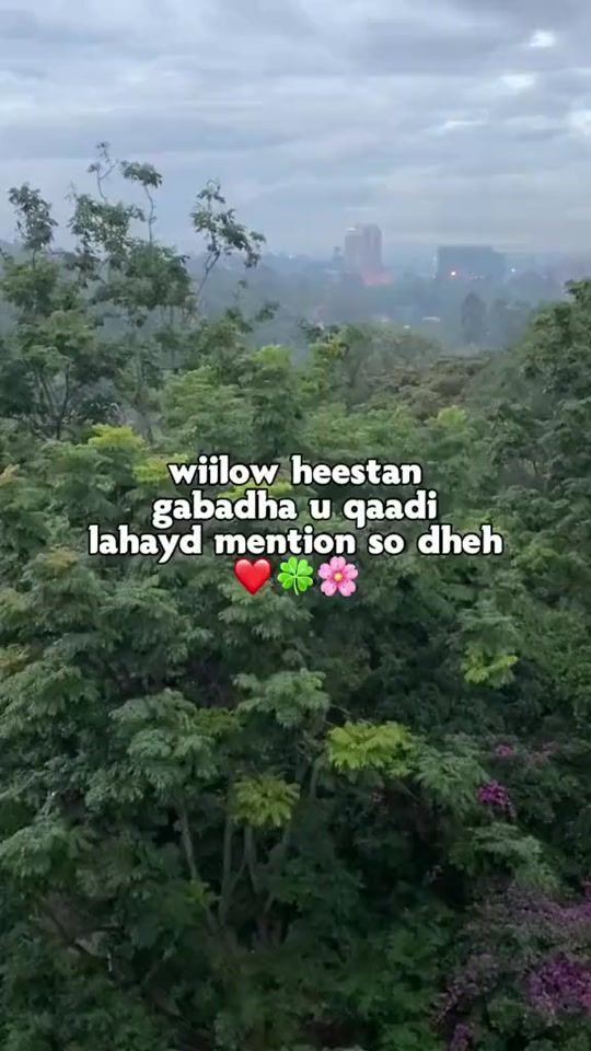TikTok video thumbnail by queen______sacdiyo