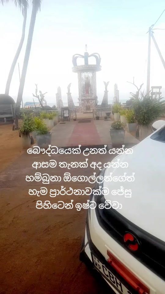 TikTok video thumbnail by shaminsk5