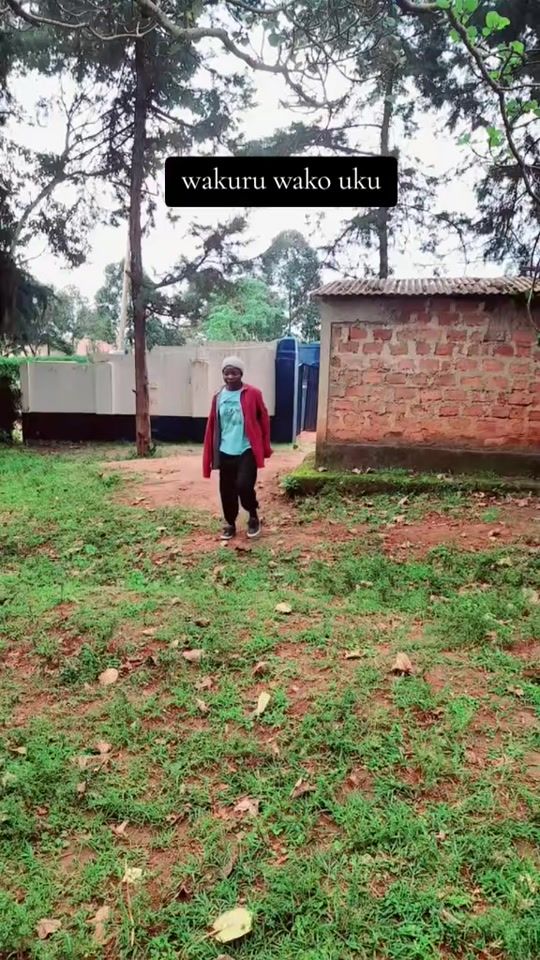 TikTok video thumbnail by monoeye2