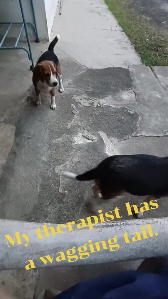 TikTok video thumbnail by mintmintlada