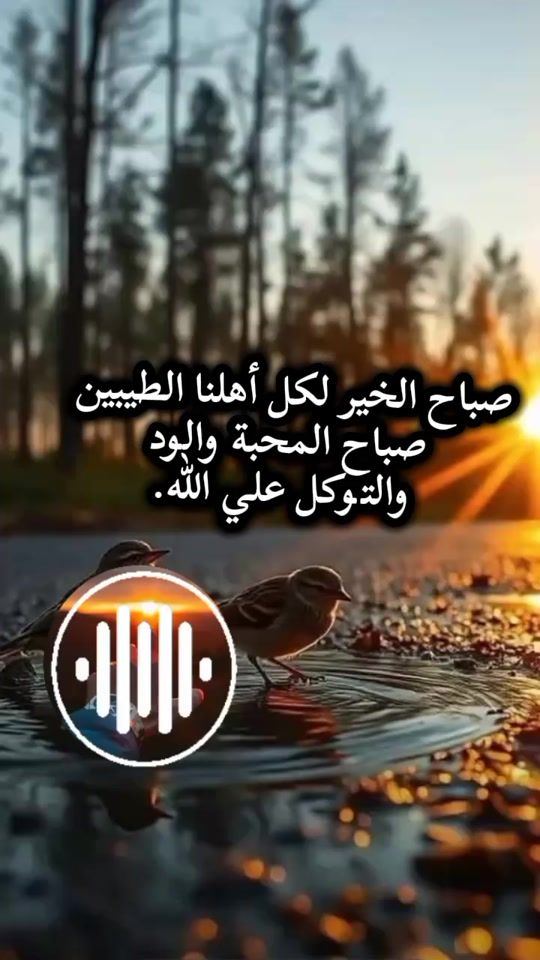 TikTok video thumbnail by weldalsean69