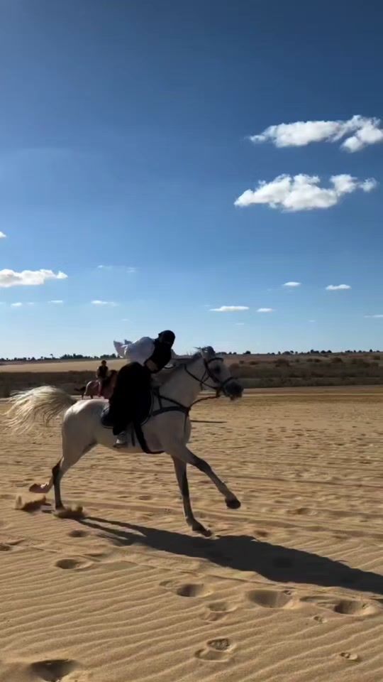 TikTok video thumbnail by princess_zizu1
