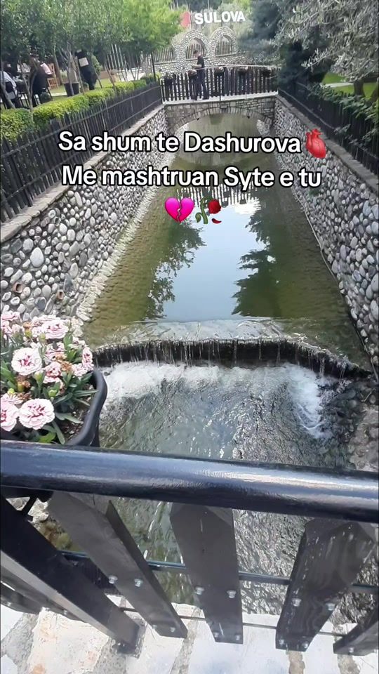 TikTok video thumbnail by silva.silva.31