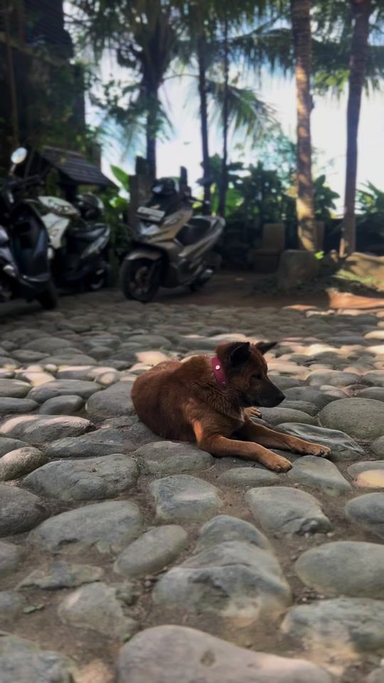 TikTok video thumbnail by bbyysleepyy