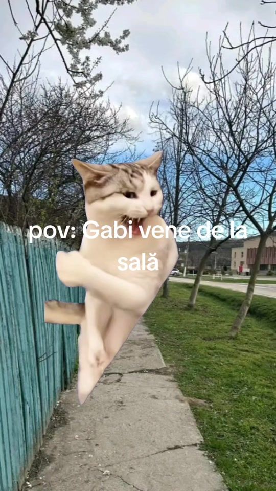 TikTok video thumbnail by vasile8640