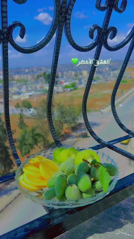 TikTok video thumbnail by i.love.syria