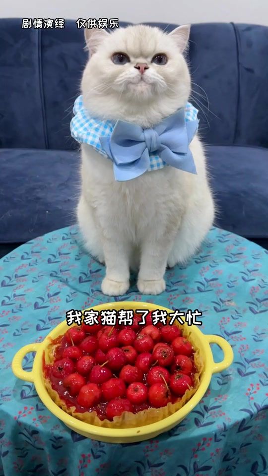 TikTok video thumbnail by blueeyescandy