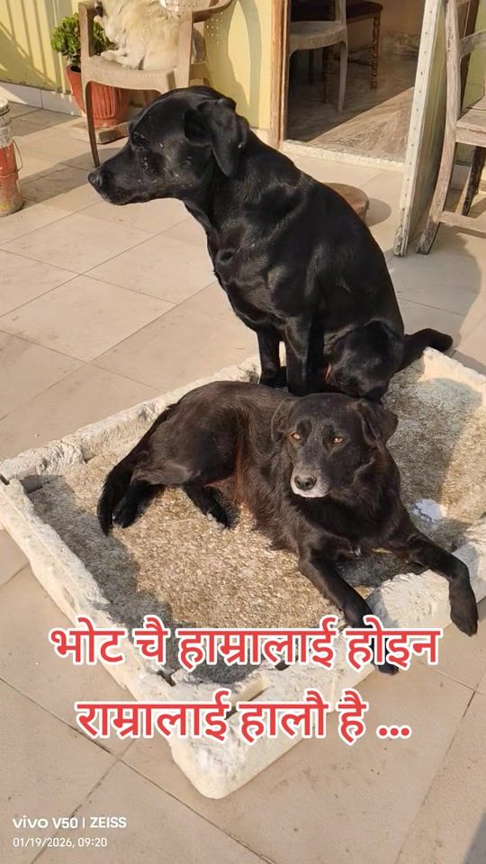 TikTok video thumbnail by manishrai342