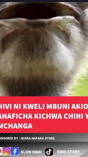 TikTok video thumbnail by elonswai