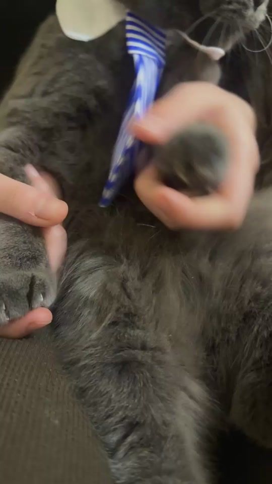 TikTok video thumbnail by hasmik.edyann
