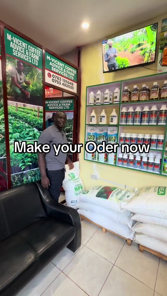 TikTok video thumbnail by mvicentug