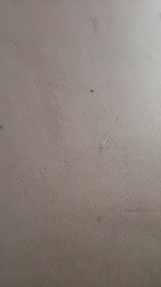 TikTok video thumbnail by kinleychokey1