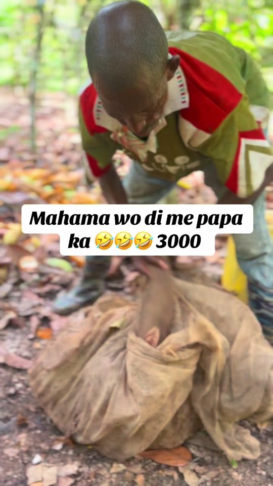 TikTok video thumbnail by agagya360