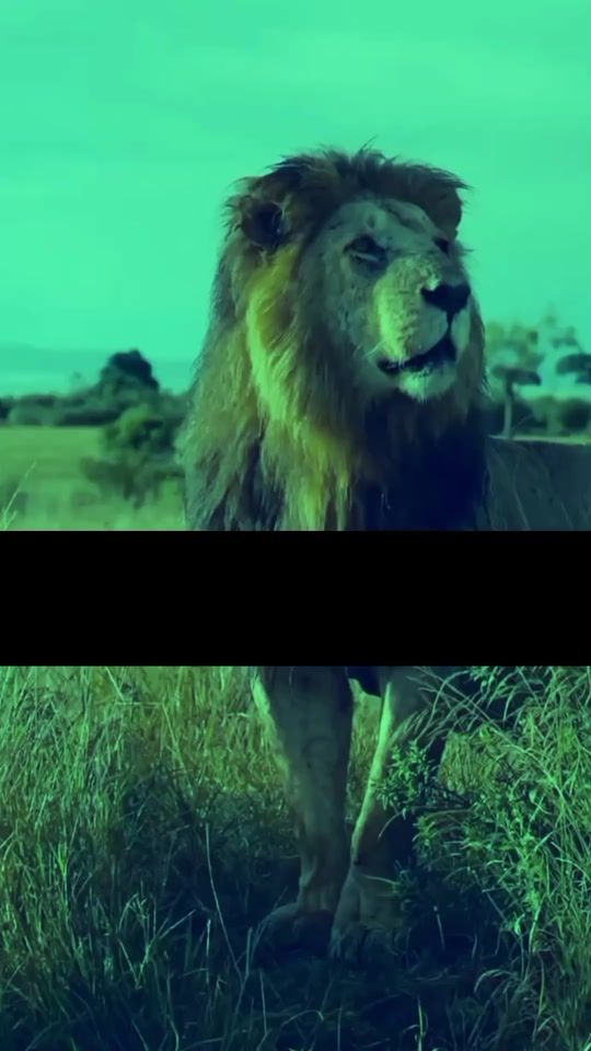TikTok video thumbnail by stomfact1