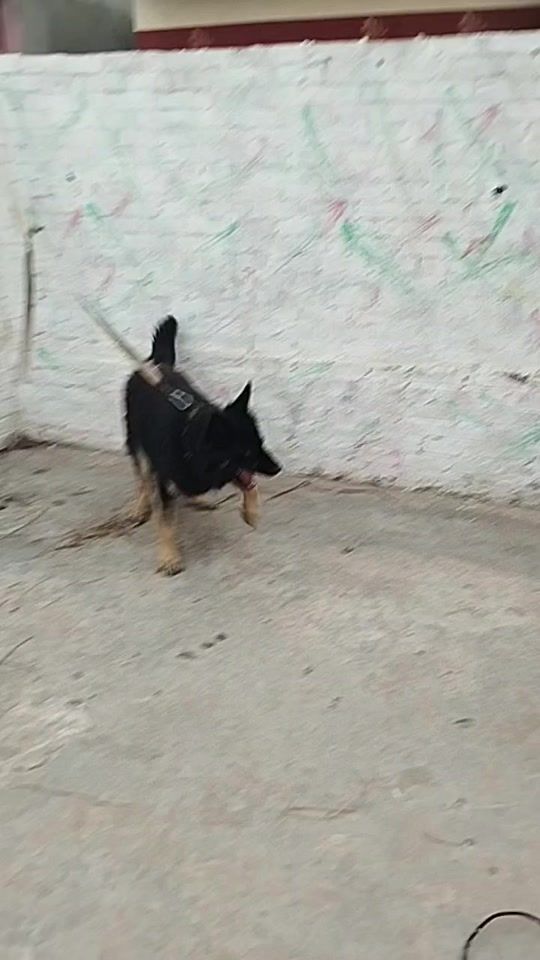 TikTok video thumbnail by abo.mahak