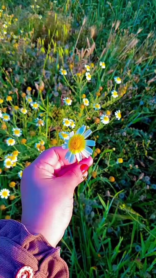 TikTok video thumbnail by malika_home
