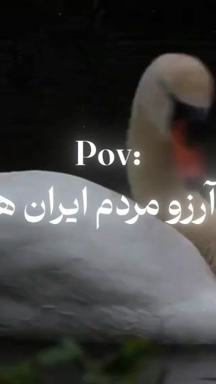 TikTok video thumbnail by spider._.man199