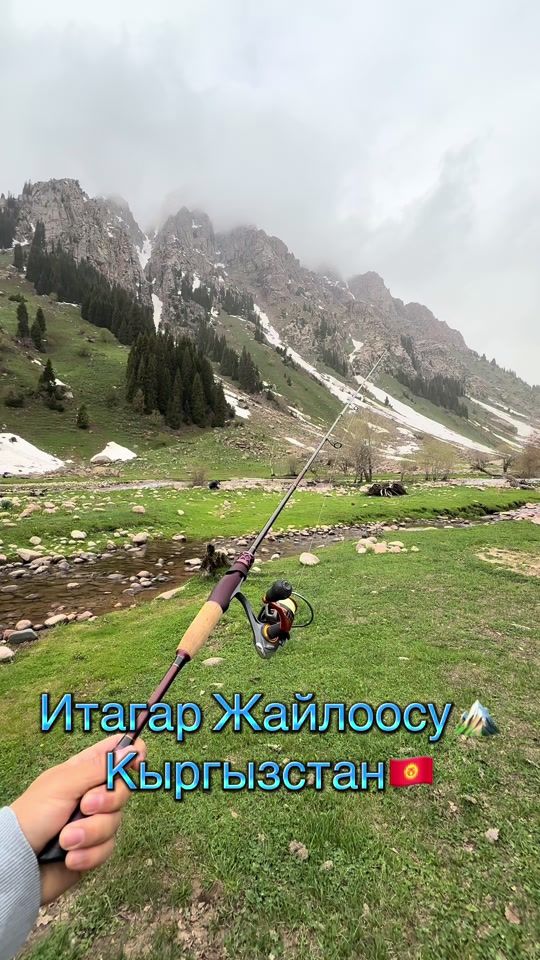 TikTok video thumbnail by alga_store_official