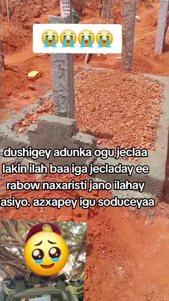 TikTok video thumbnail by falis.01