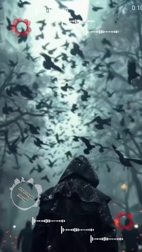 TikTok video thumbnail by dimonadamovich83