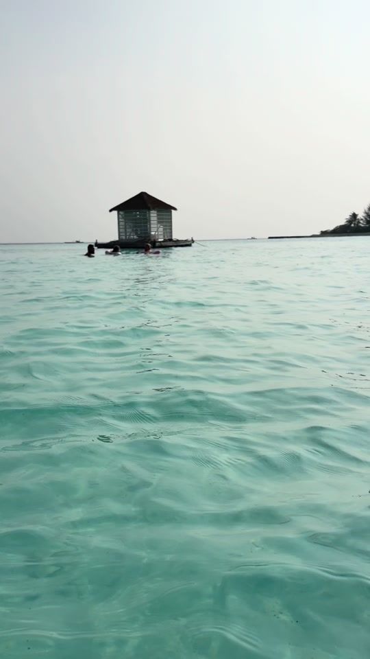 TikTok video thumbnail by habooona