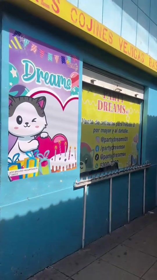 TikTok video thumbnail by partydreamsv
