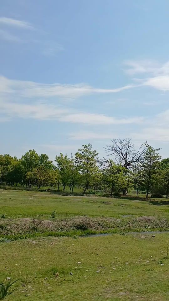 TikTok video thumbnail by kqueen961